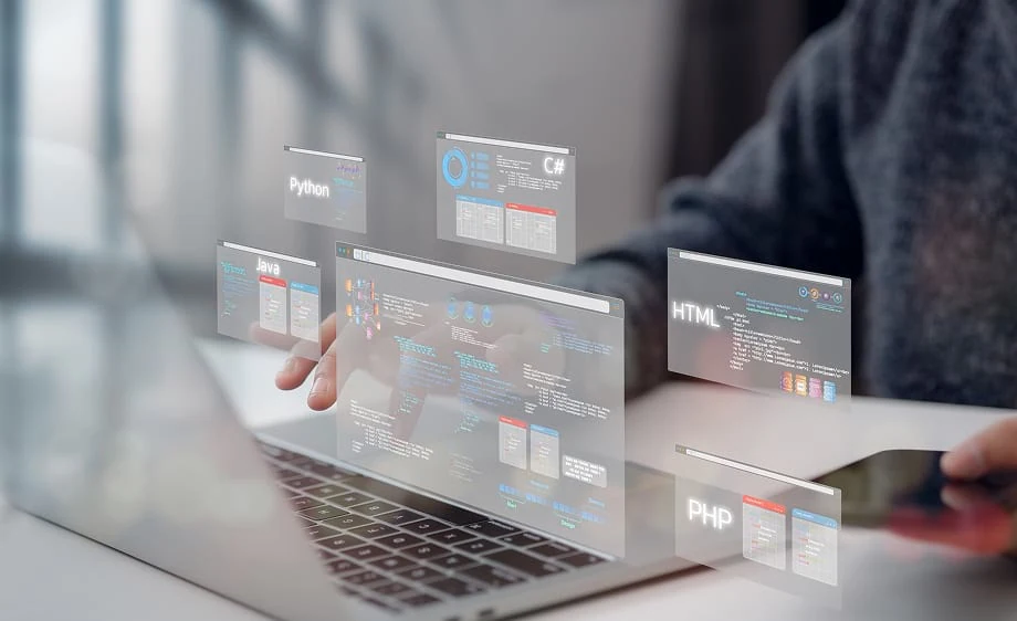 Custom Website Development
