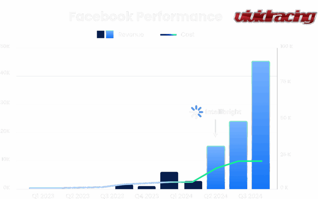 Bar graph of Facebook ad revenue and costs growth after digital marketing agency SEO services.