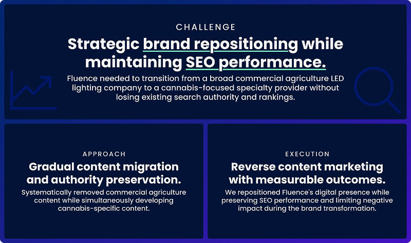 A slide for a digital marketing agency shows SEO services, ranking gains, and content strategy for a cannabis brand.