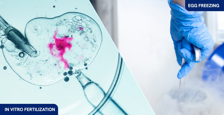 A gloved hand with lab tools beside a frozen container; IVF graphic showcases fertility clinic SEO and digital marketing agency services.