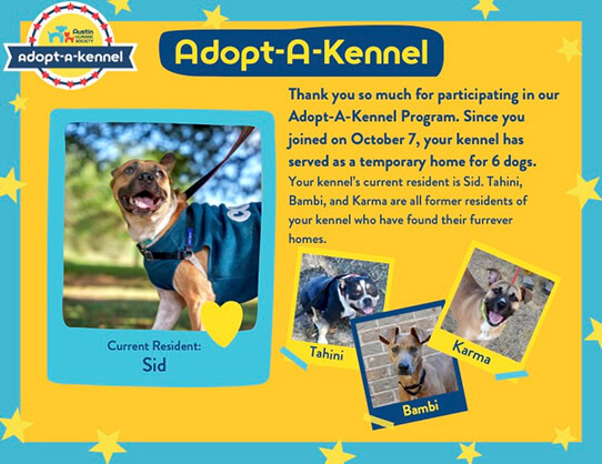 A digital marketing agency promo poster features Sid and past kennel dogs, highlighting SEO services.