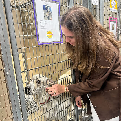 A woman engages with a shelter dog, reflecting digital marketing agency community outreach.