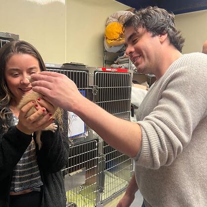 Team from a digital marketing agency supports pet care in shelter, highlighting SEO and social media marketing efforts.