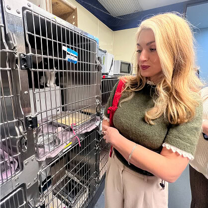 A woman at an animal shelter highlights Intellibright, a digital marketing agency, giving back.